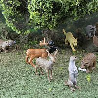 North American Wildlife Toob