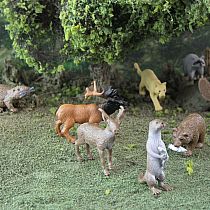 North American Wildlife Toob
