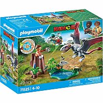 PM DIMORPHODON OBSERVATORY