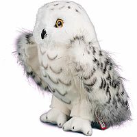 Legend Snowy Owl