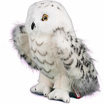 Legend Snowy Owl