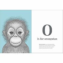 ANIMAL ALPHABET