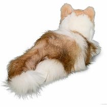 Kiki Ragdoll Cat