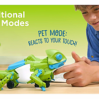ROBOTIC PET CODING CHAMELEON