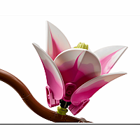 LEGO MAGNOLIA BRANCHES