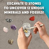 DIG IT UP! MINERALS/FOSSILS