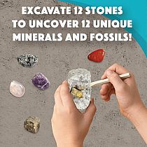 DIG IT UP! MINERALS/FOSSILS
