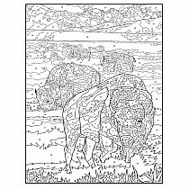Creative Haven Wildlife Color by Number Coloring Book