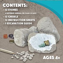 DIG IT UP! MINERALS/FOSSILS