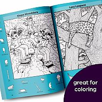 WILDLIFE PUZZLES HIDDEN PICTUR