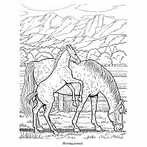 Wonderful World of Horses Coloring Book
