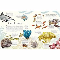 An Anthology of Aquatic Life---Sam Hume  Angela Rizza  Daniel Long