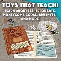 DIG IT UP! MINERALS/FOSSILS