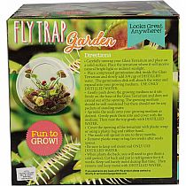 FLYTRAPS