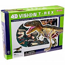 4D Vision T-Rex Anatomy