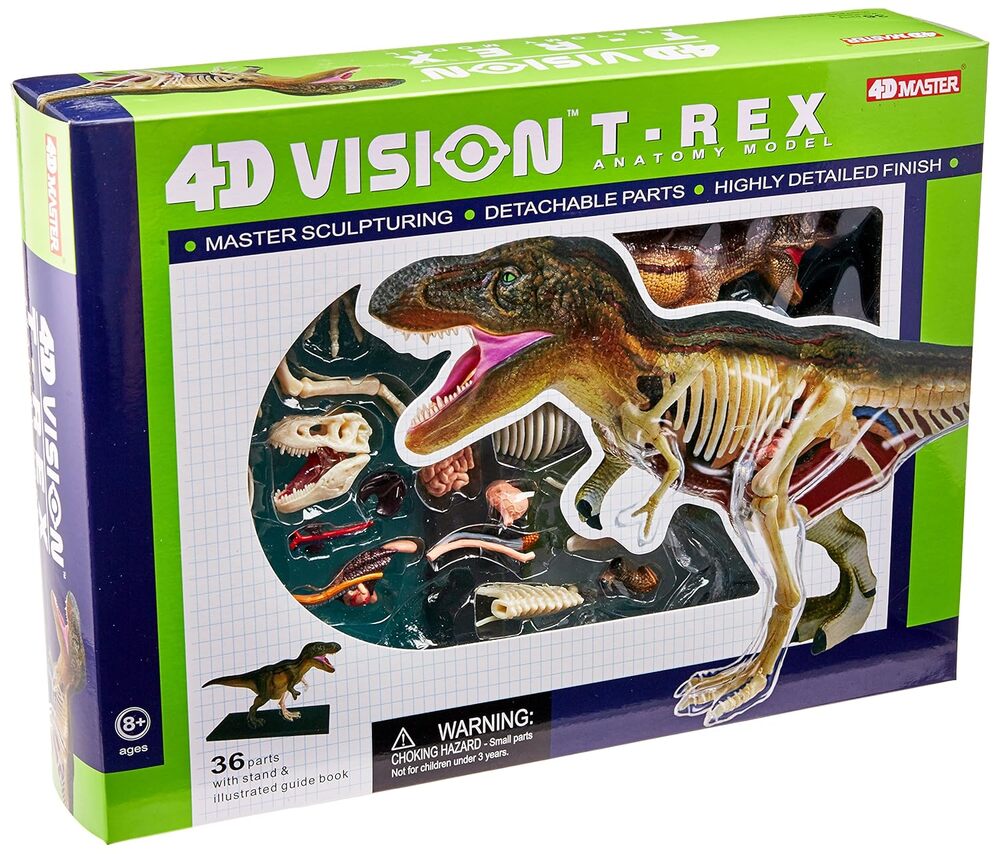 4D Vision T-Rex Anatomy