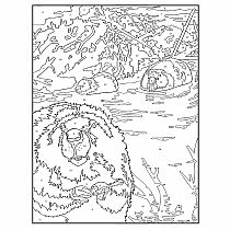 Creative Haven Wildlife Color by Number Coloring Book