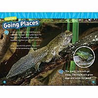 NGR NATIOANL GEOGRAPHIC READERS ANIMAL TAILS--Rose Davidson