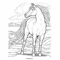 Wonderful World of Horses Coloring Book