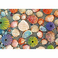 BY THE SEASHORE 300 PC PUZ