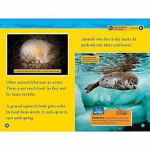 NGR NATIOANL GEOGRAPHIC READERS ARCTIC ANIMALS--Jennifer Szymanski