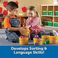 Farmer's Market Color Sorting Set