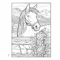 Creative Haven Great Horses Coloring Book