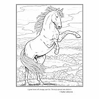 The Horse Lovers' Coloring Book