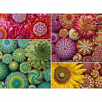 MANDALA BLOOMS 500 PC PUZ