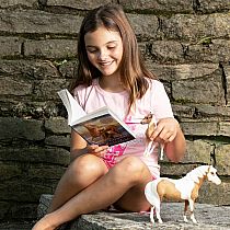 Breyer Misty and Stormy Set with Book