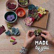 FELT SUCCULENTS KIT