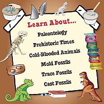 Back In Time With the Dinosaurs