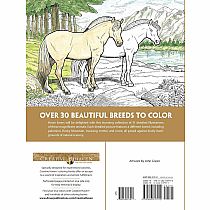 Creative Haven Great Horses Coloring Book