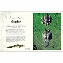 An Anthology of Aquatic Life---Sam Hume  Angela Rizza  Daniel Long