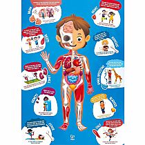 HUMAN BODY PUZZLE