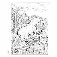 Creative Haven Great Horses Coloring Book