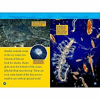 NGR NATIOANL GEOGRAPHIC READERS ARCTIC ANIMALS--Jennifer Szymanski