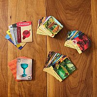 Forbidden Island Game