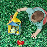 PUT & PEEK BIRDHOUSE