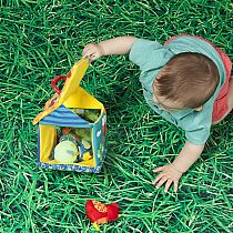 PUT & PEEK BIRDHOUSE