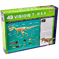 4D Vision T-Rex Anatomy