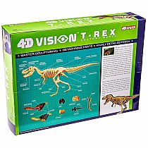 4D Vision T-Rex Anatomy