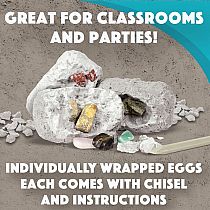 DIG IT UP! MINERALS/FOSSILS