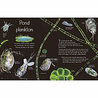 An Anthology of Aquatic Life---Sam Hume  Angela Rizza  Daniel Long