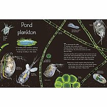 An Anthology of Aquatic Life---Sam Hume  Angela Rizza  Daniel Long