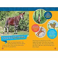 NGR NATIOANL GEOGRAPHIC READERS MYTHICAL BEASTS--STEPHANIE WARREN DRIMMER