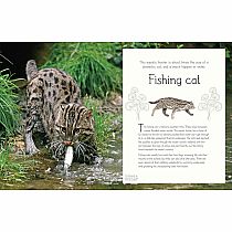 An Anthology of Aquatic Life---Sam Hume  Angela Rizza  Daniel Long