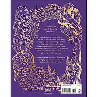 ANTHOLOGY EXTRAORDINARY EARTH---Cally Oldershaw  Angela Rizza  Daniel Long