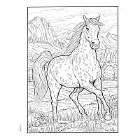 Creative Haven Great Horses Coloring Book