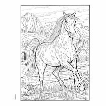 Creative Haven Great Horses Coloring Book